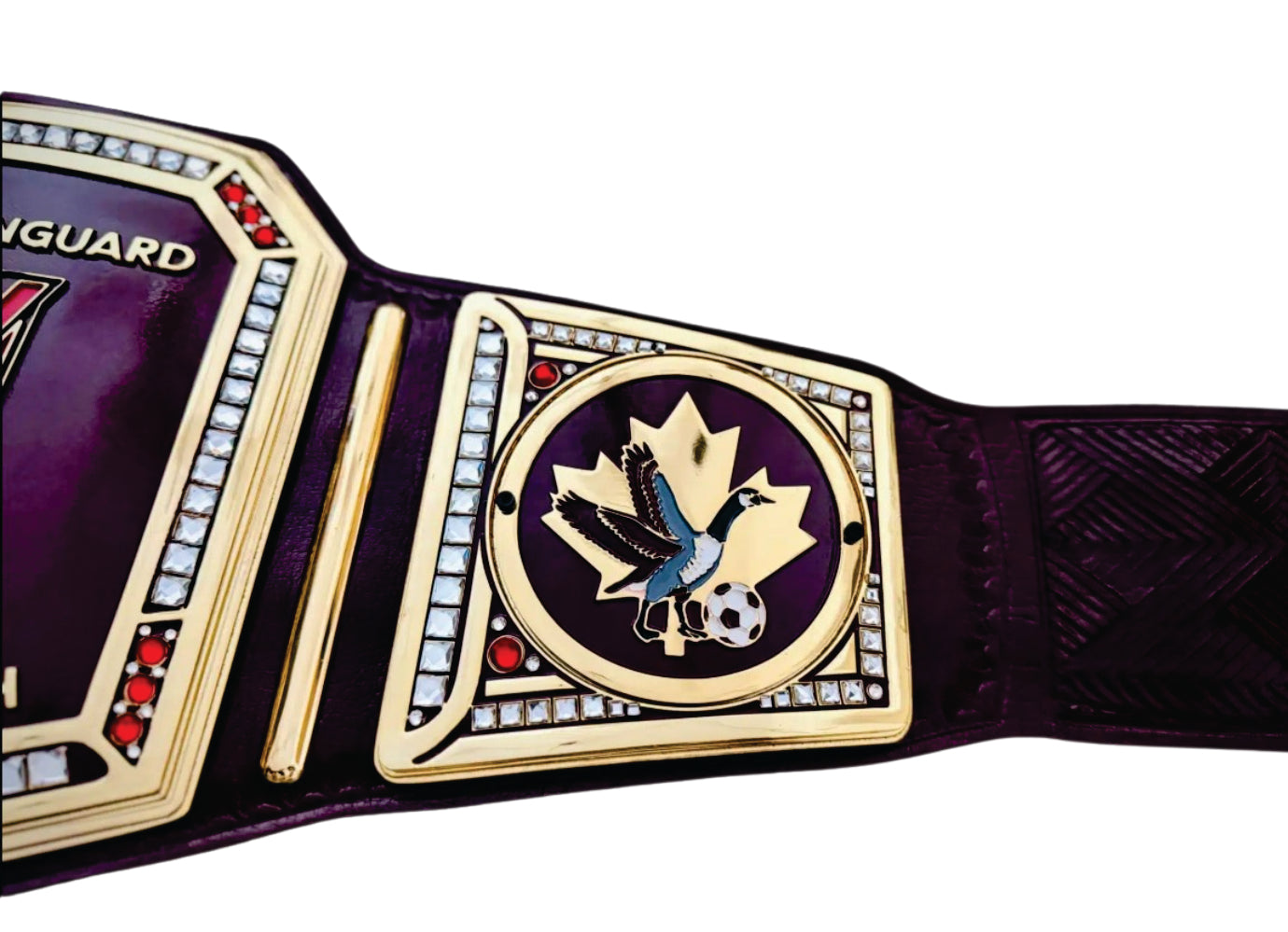 MLR Major League Reclining Championship Belt Title Belts Nation
