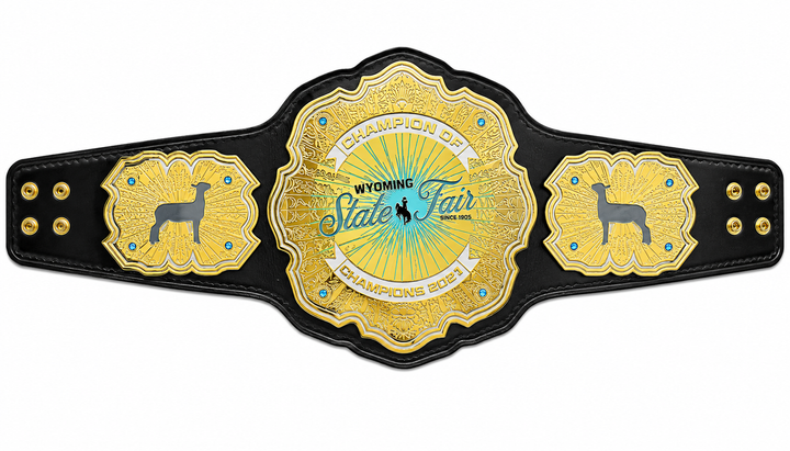New Clemson University Tiger Championship Title Belt Adult Size
