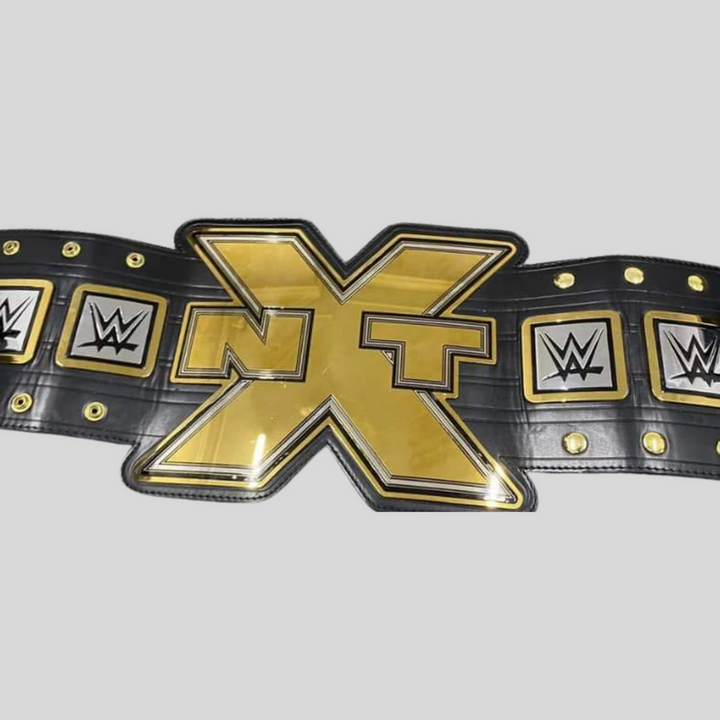 CNC Championship Belts 2012 NXT Championship Replica Title Belt