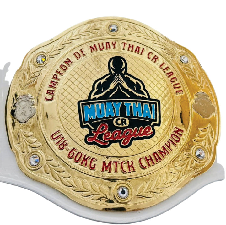 Stanford University Masters Latin American Studies Championship Belt Title Belts Nation