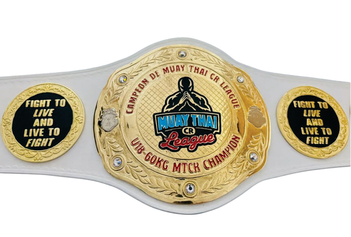 Stanford University Masters Latin American Studies Championship Belt Title Belts Nation