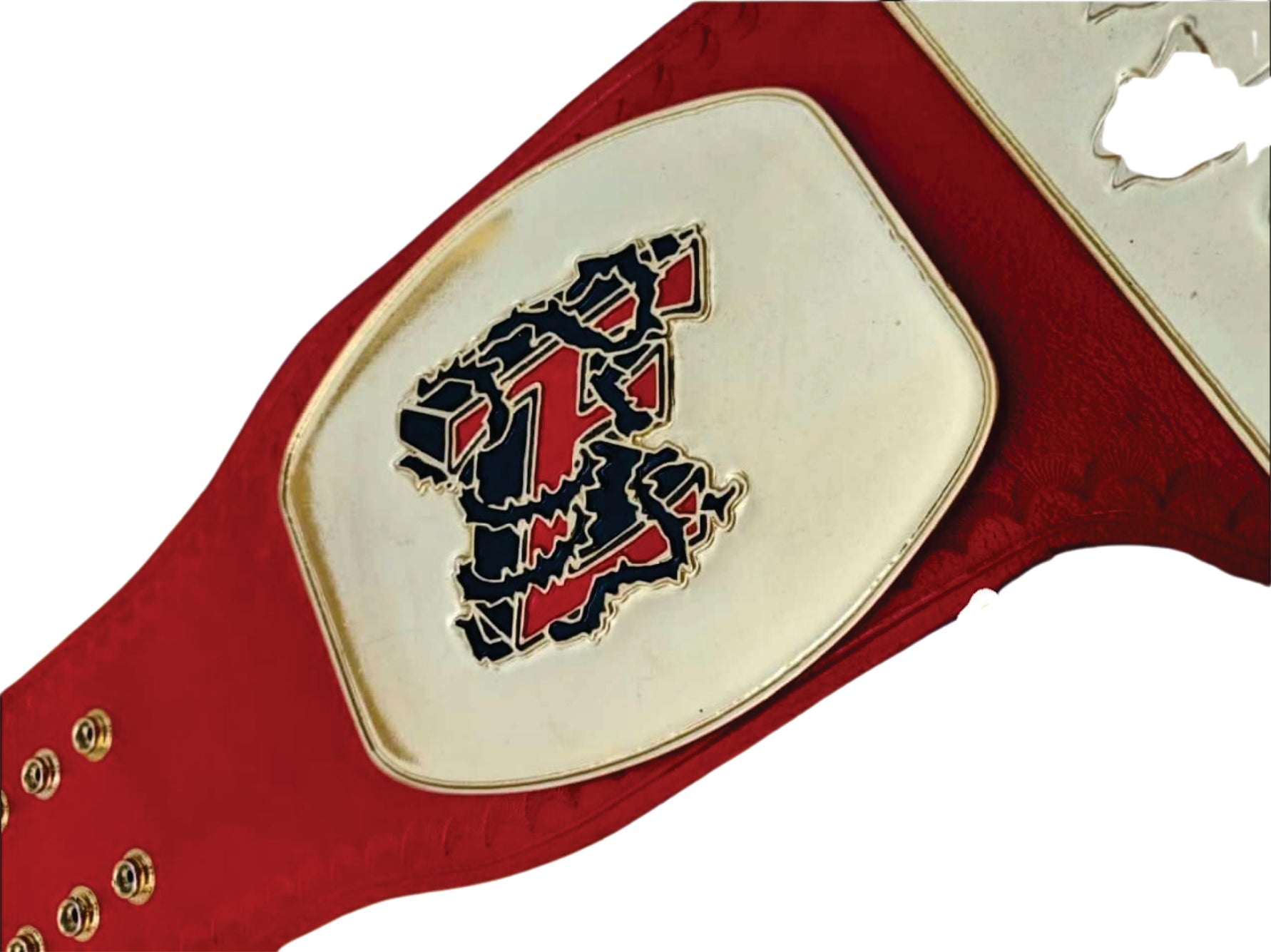 Tomorrow's End Custom  Championship Wrestling Belt Title Belts Nation