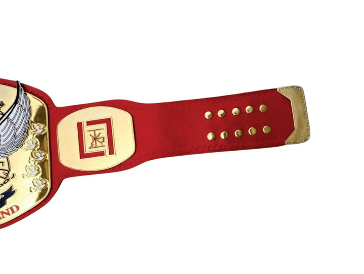 Tomorrow's End Custom  Championship Wrestling Belt Title Belts Nation