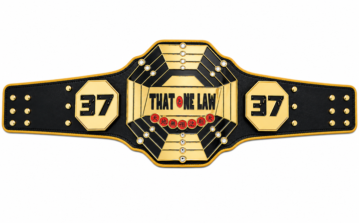 New Custom championship belt Adult Size