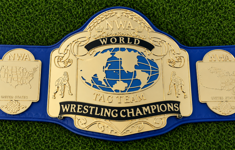 NWA World Tag Team Championship Title Belt