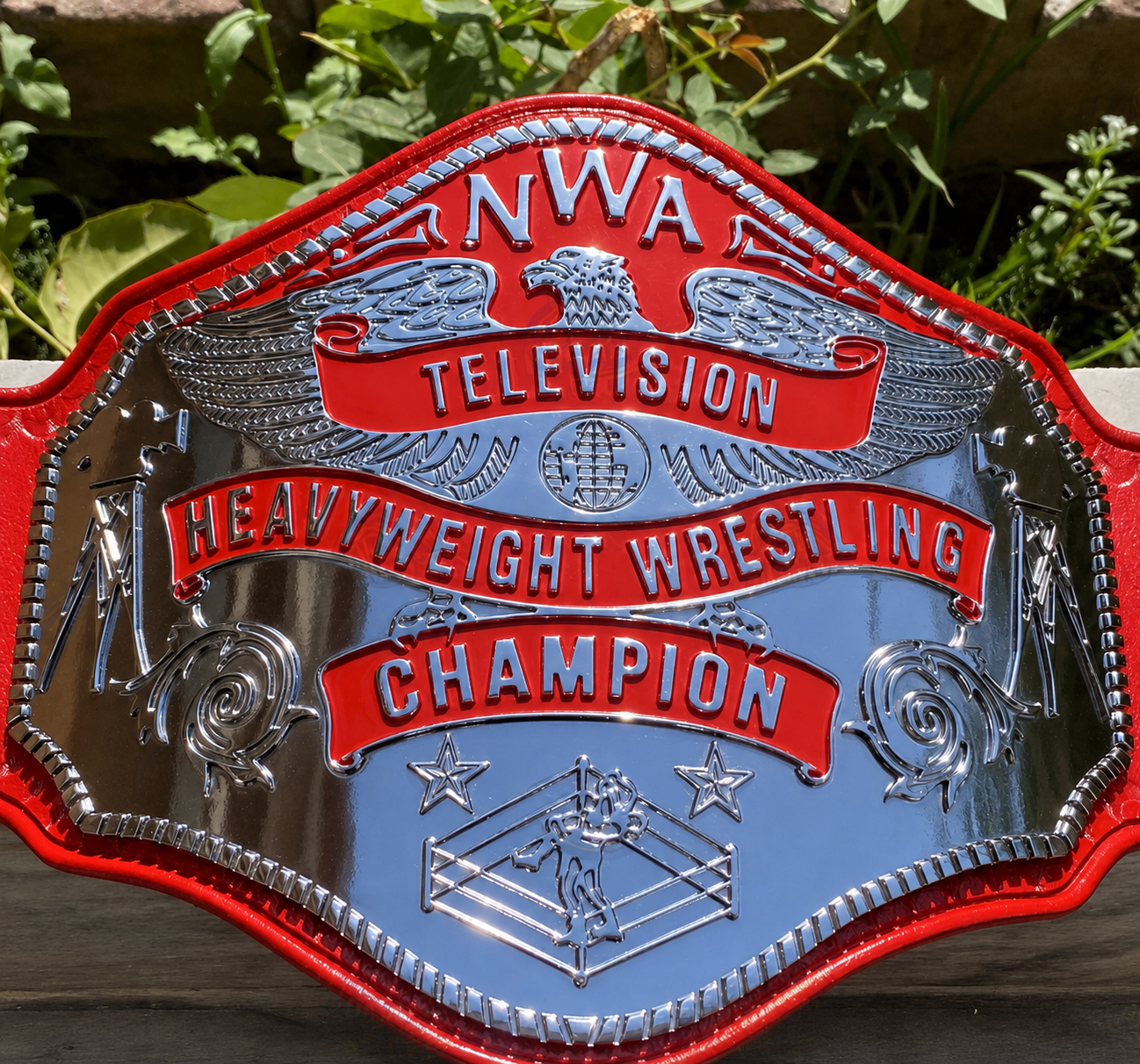 NWA TV Wrestling Championship Title Belt HD CNC