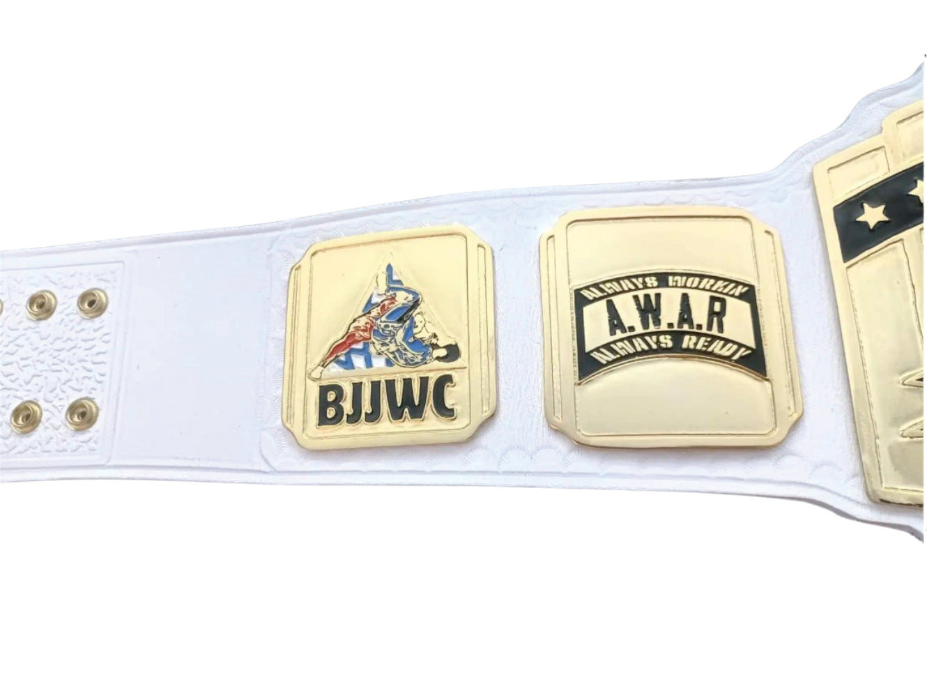 BJJ World Champion A.W.A.R Championship Belt Title Belts Nation