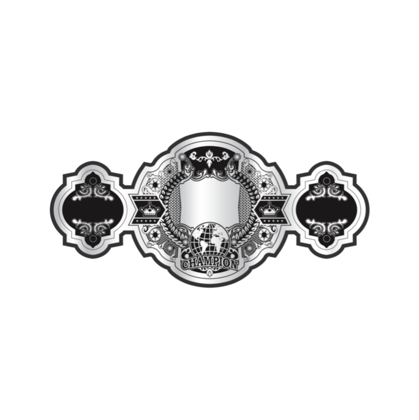 Crowned Globe Custom Championship Belt | Personalized World Title Award